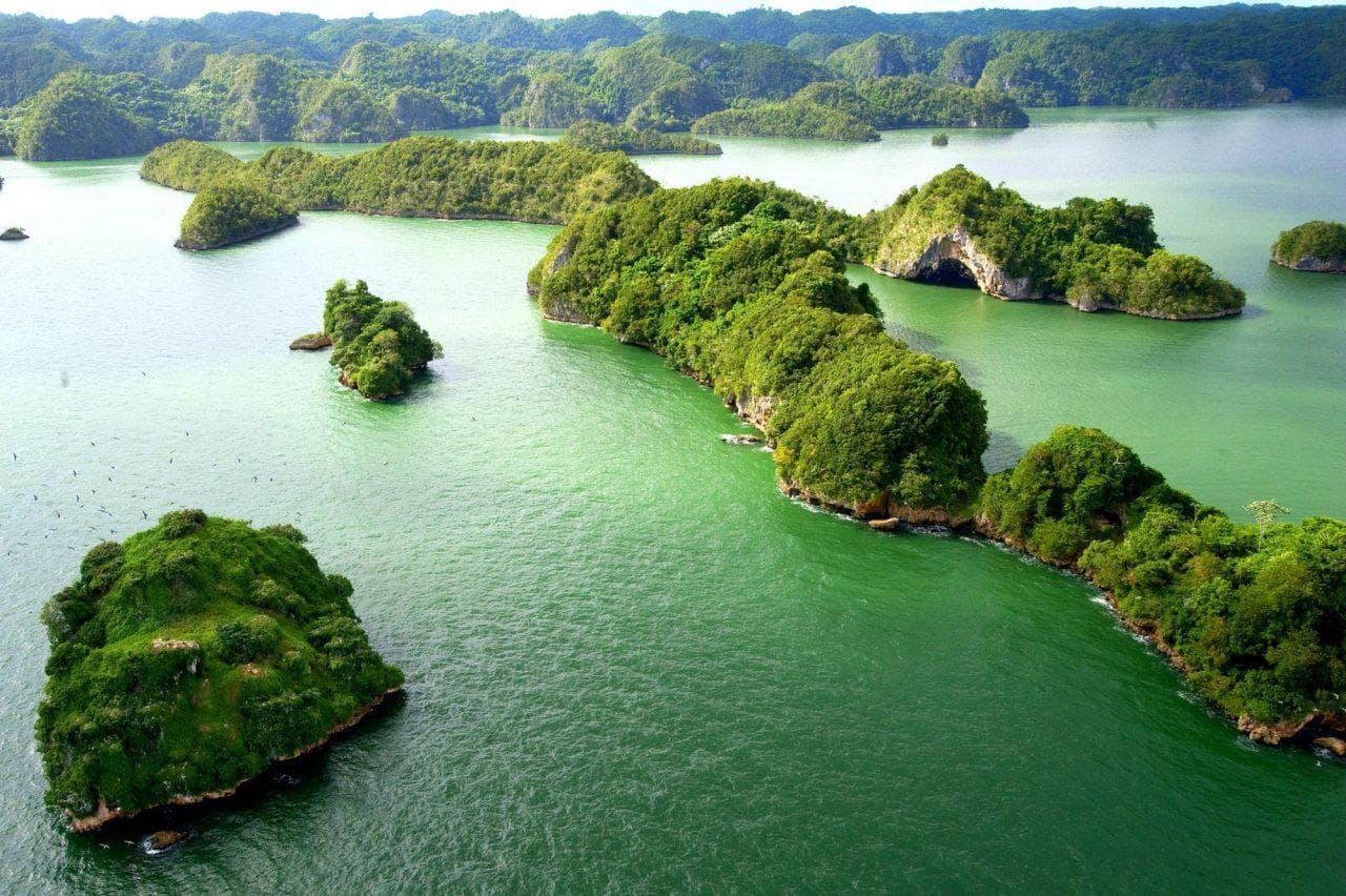Escape to the Natural Beauty of Samaná