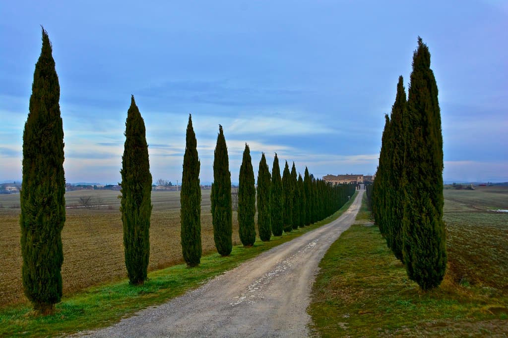 <center>⭐⭐⭐<br><br> Fly-Drive Rome to Venice</center>